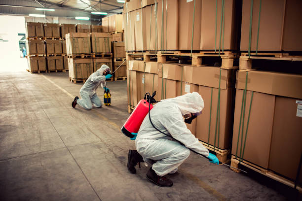 Best Wildlife Control Services  in Mirrormont, WA