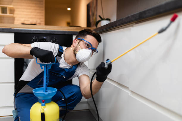 Pest Control for Restaurants in Mirrormont, WA