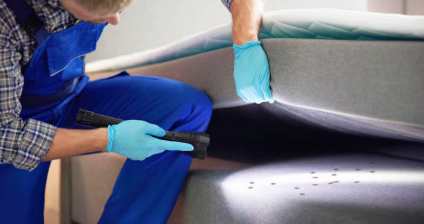 Best Affordable Pest Control Services  in Mirrormont, WA