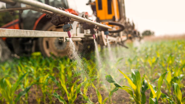 Reliable Mirrormont, WA Pest Control Solutions